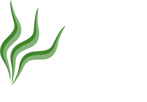 Bio Hotel Villa Cecilia